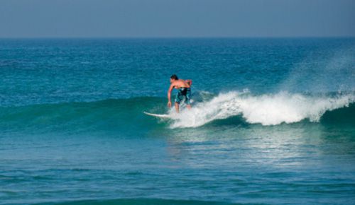 Surfing and the World Surf Pro - Bushy Lake Chalets